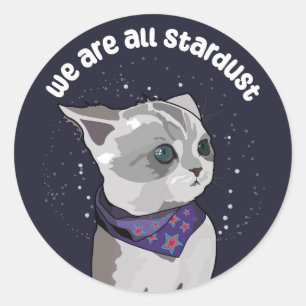 Stardust Kitten Classic Round Sticker