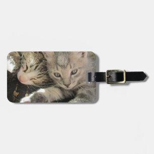 Stardust Kittens Luggage Tag
