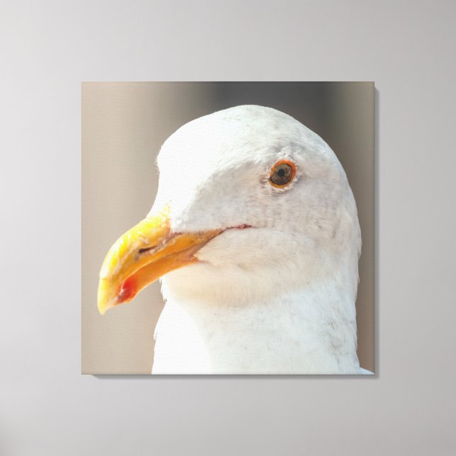 Stare  canvas print (Front)