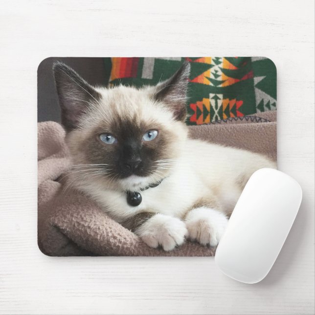 Stare Down Adorable Blue Eyed Siamese Kitten Mouse Mat (With Mouse)