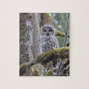 Stare Down with the Owl Jigsaw Puzzle