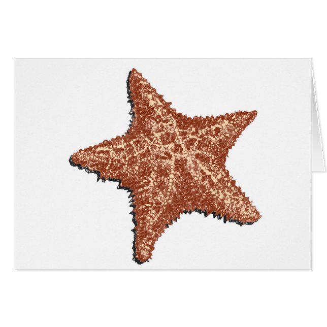 Starfish (Front Horizontal)