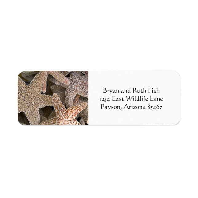 Starfish all around (Front)