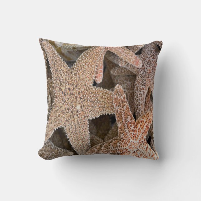 Starfish all around cushion (Front)