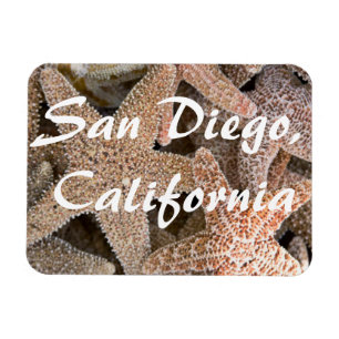 Starfish all around , San Diego , California Magnet
