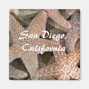 Starfish all around , San Diego , California Magnet