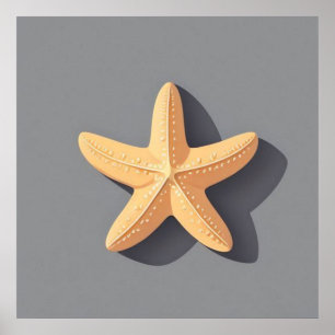 Starfish and Its Shadow Poster