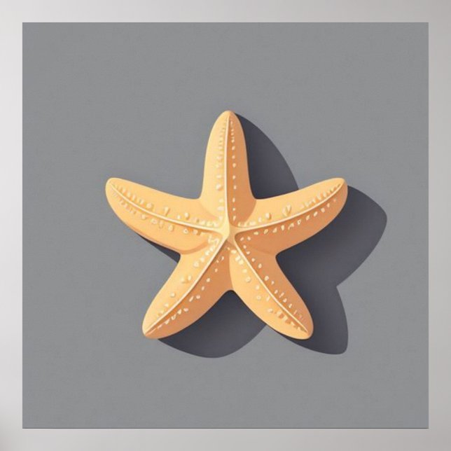 Starfish and Its Shadow Poster (Front)