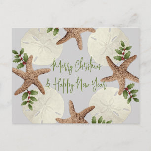 Starfish and Sand Dollars Beach Christmas Postcard