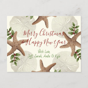 Starfish and Sand Dollars Christmas Postcard