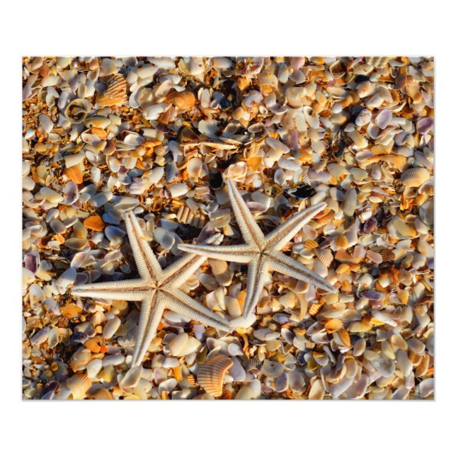Starfish and Seashells photo print (Front)
