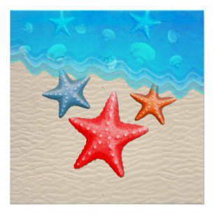 Starfish And Seashells Poster