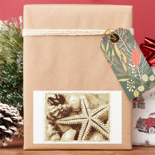 Starfish and Seashells Stickers