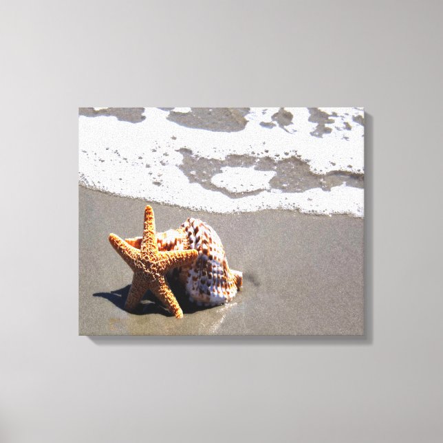 Starfish And Shell Canvas Print (Front)