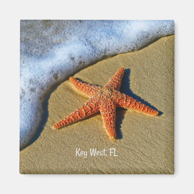 Starfish, at the beach in Key West, Florida, Magnet (Front)