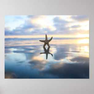 Starfish at the beach photo poster print