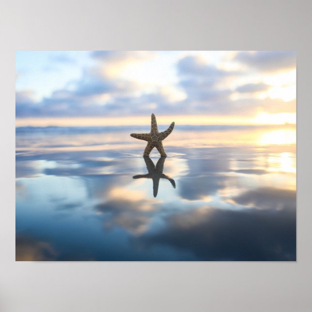 Starfish at the beach photo poster print (Front)