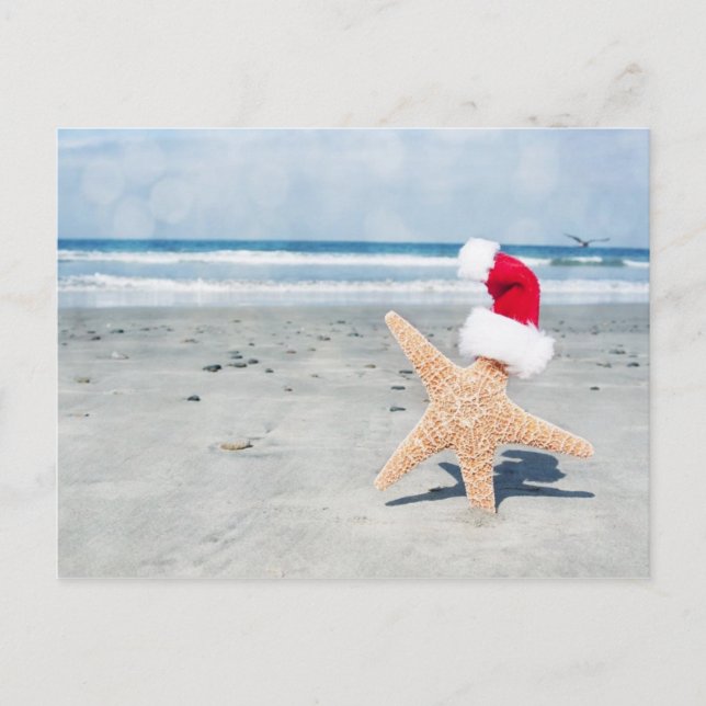 Starfish Beach Christmas Holiday Postcard (Front)