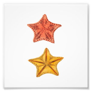 Starfish Beach Sea Nautical Bathroom Print