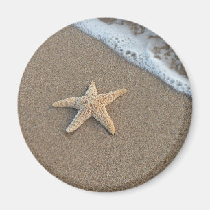 Starfish by the beach magnet