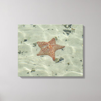Starfish Canvas Print