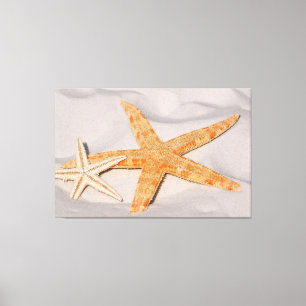 Starfish Canvas Print