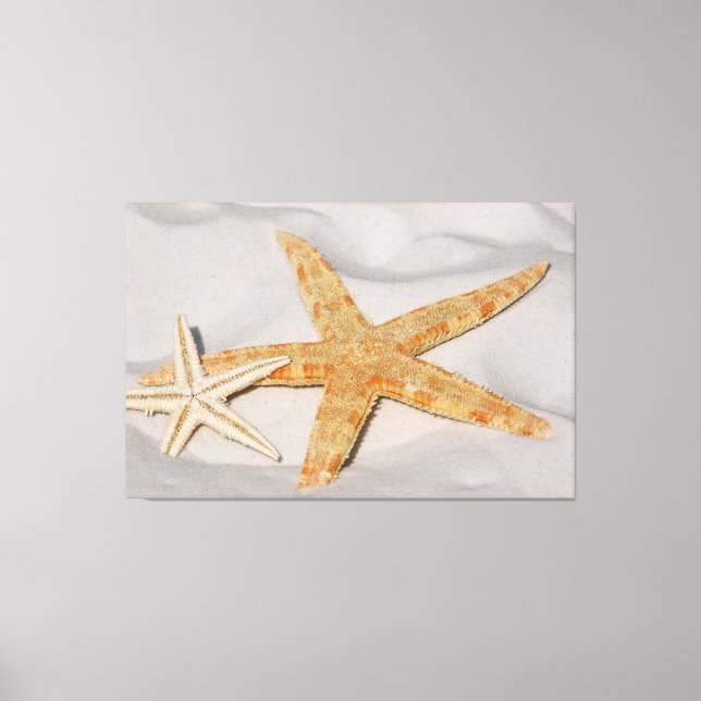 Starfish Canvas Print (Front)