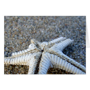 Starfish Card