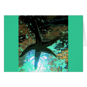 Starfish CB