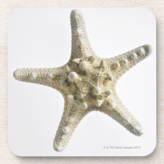 Starfish Coaster (Front)