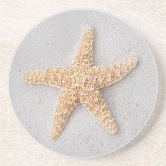 Starfish Coaster (Front)