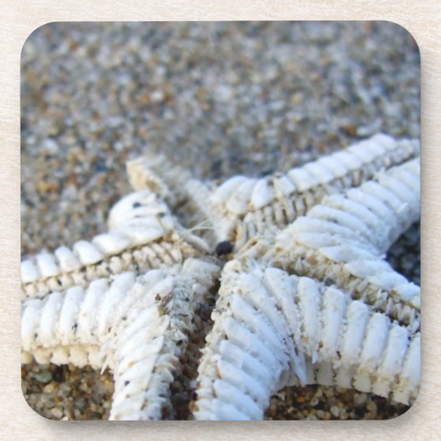 Starfish Coasters (Front)