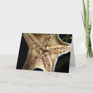 Starfish Greeting Card