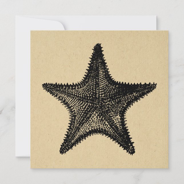Starfish Illustration Ocean Art Vintage Starfish Card (Front)