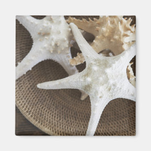 Starfish in a basket magnet