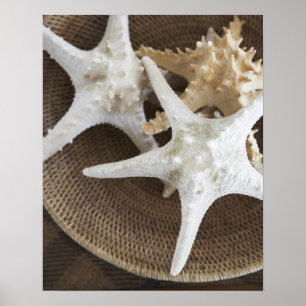 Starfish in a basket poster