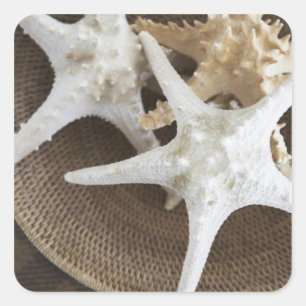 Starfish in a basket square sticker