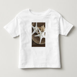Starfish in a basket toddler T-Shirt