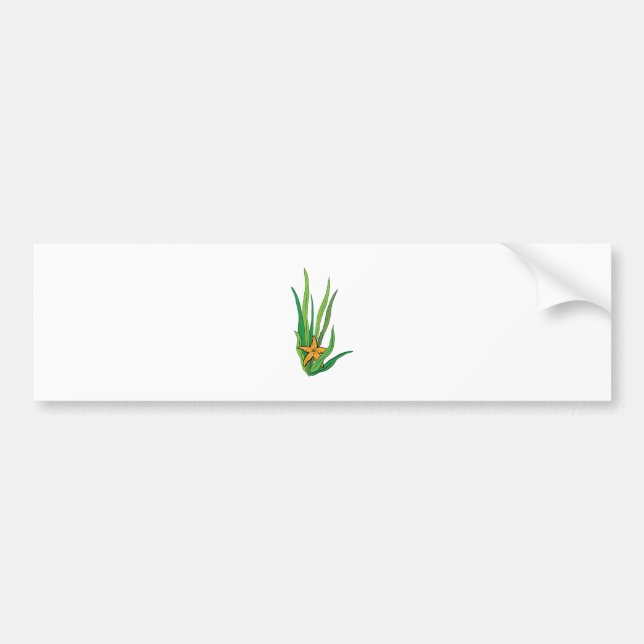 Starfish In Seaweed Bumper Sticker (Front)