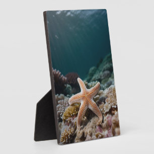 Starfish in the Deep Sea Plaque
