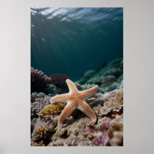 Starfish in the Deep Sea Poster