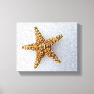 Starfish In The Snow original Photography Poster Canvas Print