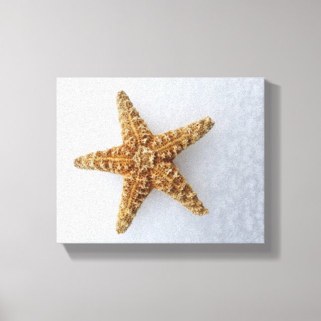 Starfish In The Snow original Photography Poster Canvas Print (Front)