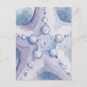 Starfish Invitation Postcard
