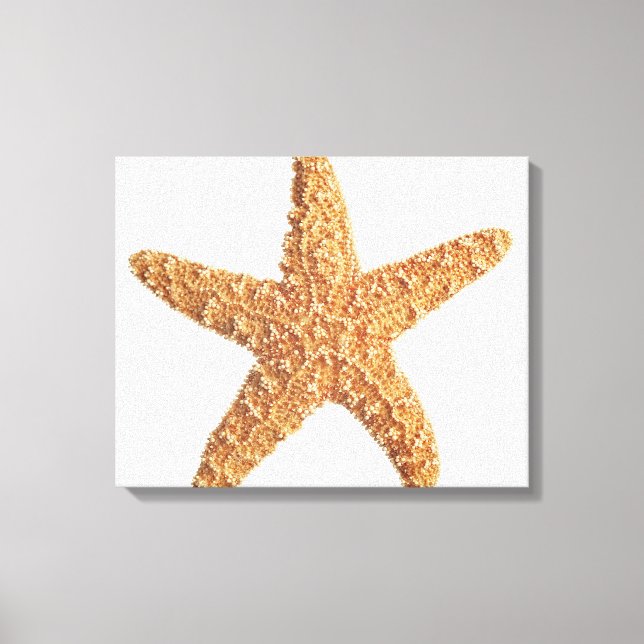 Starfish isolated on white canvas print (Front)