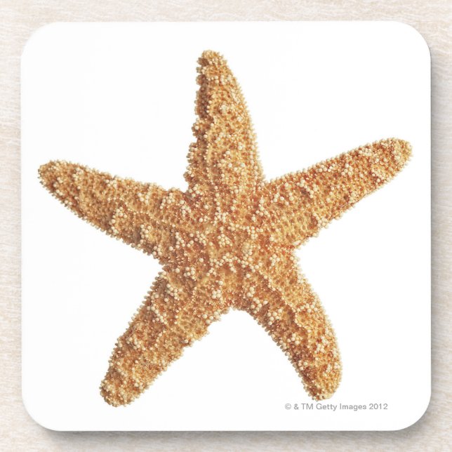 Starfish isolated on white coaster (Front)