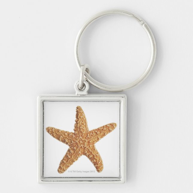 Starfish isolated on white key ring (Front)