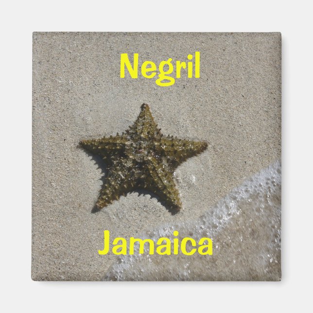 Starfish Magnet (Front)