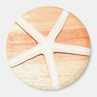 Starfish Magnet