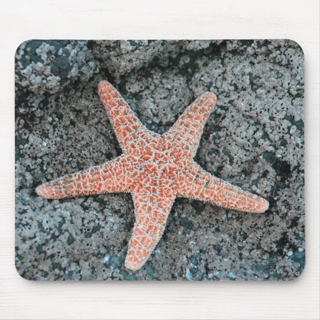 Starfish Mousepad (Front)